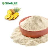 Pulverizare pulbere de ananas uscat